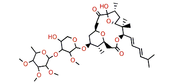 Polycavernoside B2